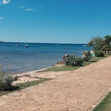 Sole 1 Novigrad Istria