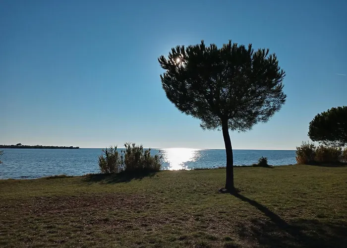 Sole 1 *