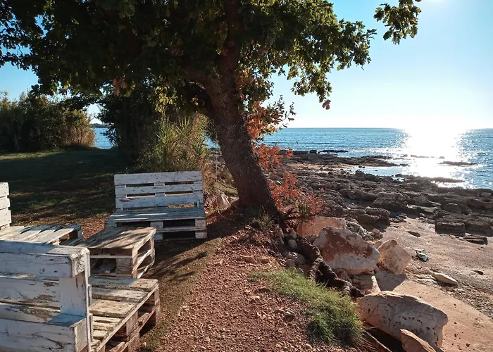 Sole 1 Lägenhet Novigrad Istria