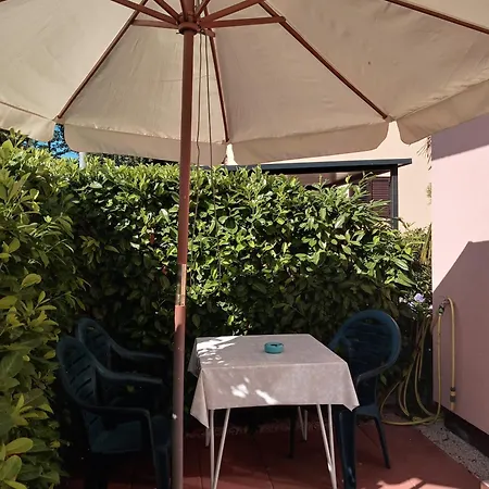 Sole 1 *
